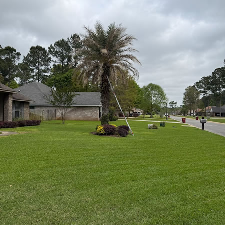 Keep Your Lawn Green in Florida Heat