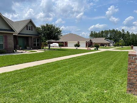Summer Lawn Maintenance Tips to Keep Your Yard Thriving in Florida Heat