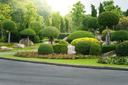 The Importance of Regular Hedge Trimming for a Beautiful Yard