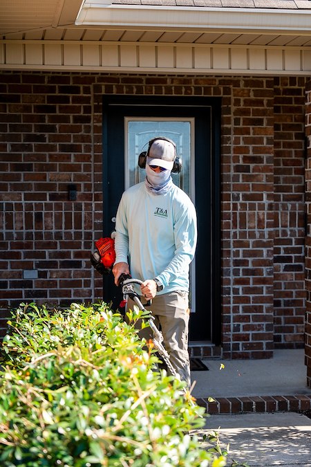 The Ultimate Summer Hedge Trimming Guide for Florida Homeowners