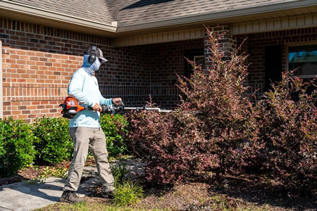 Transform Your Yard This Spring: Lawn and Hedge Makeover Ideas