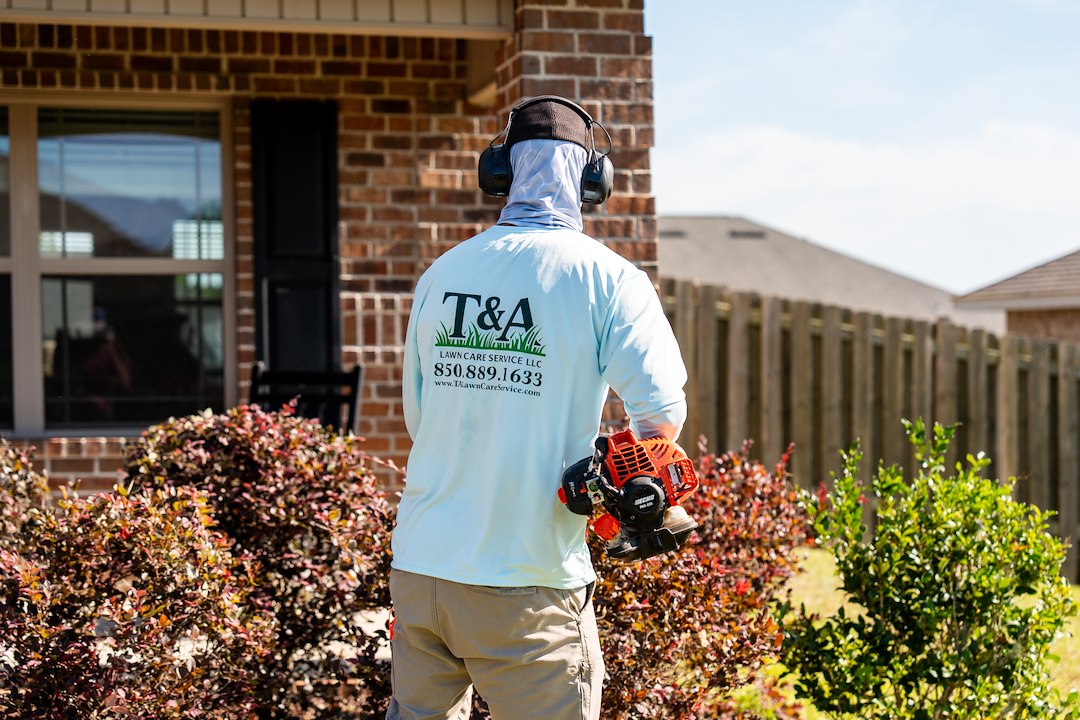 Hedge trimming in Pace, Florida