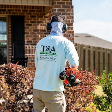 Hedge-trimming-in-Pace-Florida 1