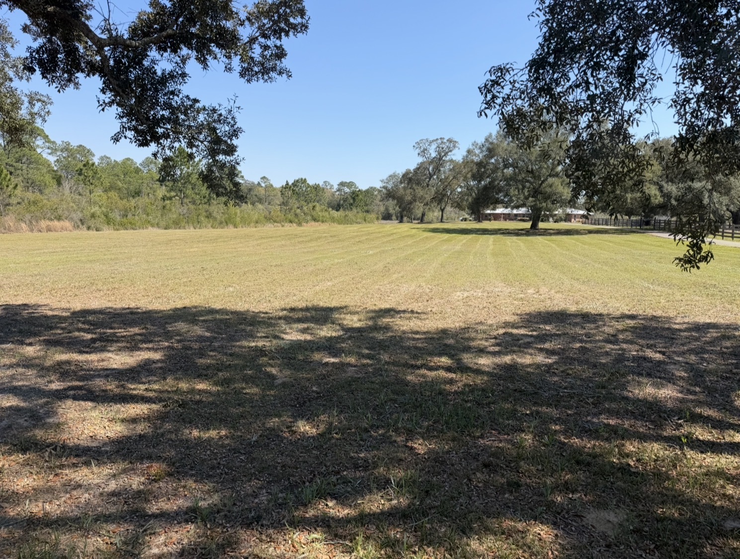 Large property Maintenance in Garçon Point