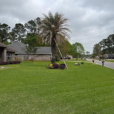 Palm-Pruning-in-Stone-Chase 0