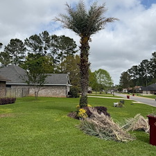 Palm-Pruning-in-Stone-Chase 1